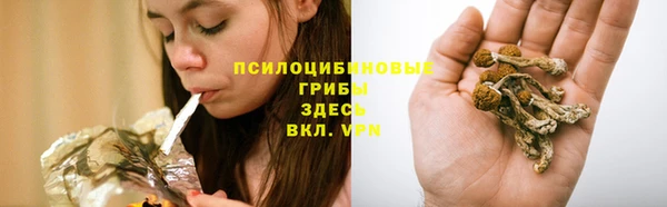 индика Алзамай