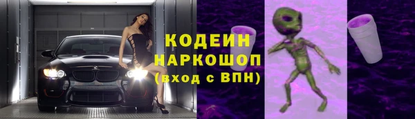 индика Алзамай